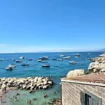 Petite Sorrento